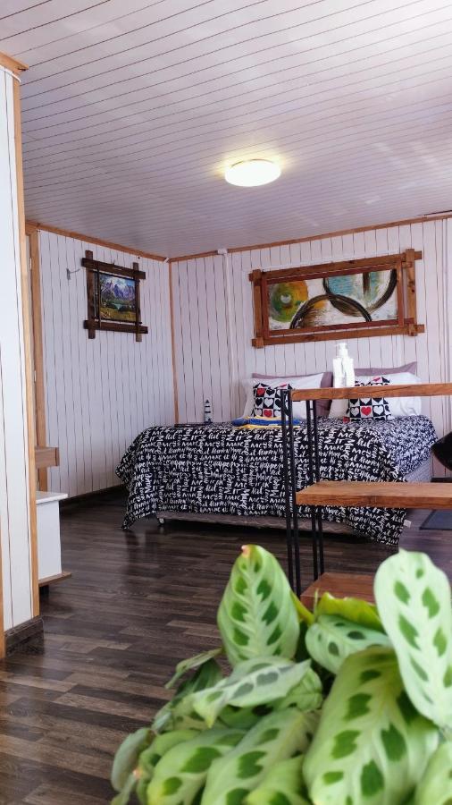 Host Patagonia Guest house